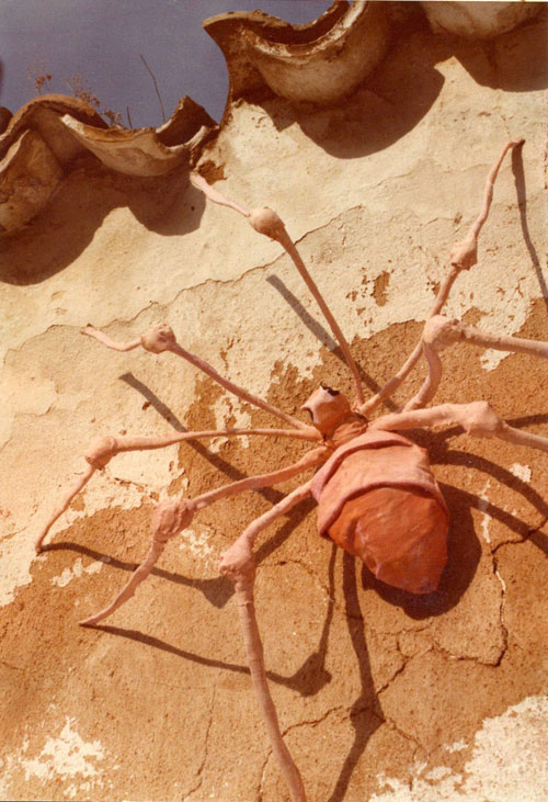 ARAÑA ROSA
